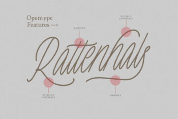 duo font monoline script sans serif