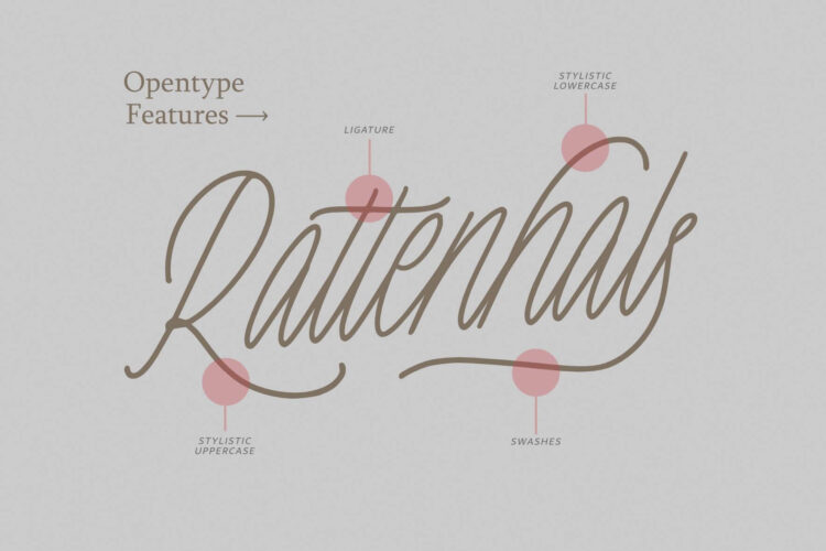 duo font monoline script sans serif