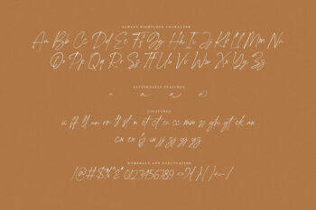 duo font serif script