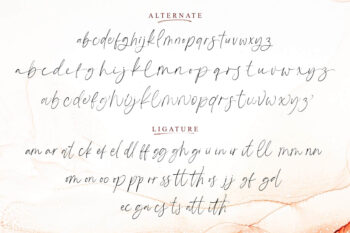 Modern Handwritten Font