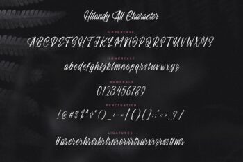 modern script font