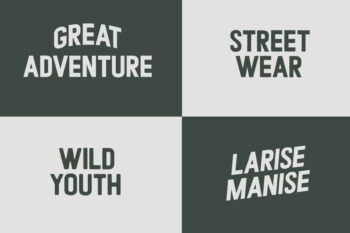 monoline retro script font