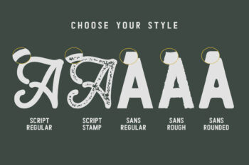 monoline retro script font