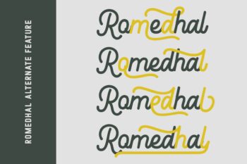 monoline retro script font