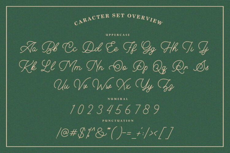 monoline script font