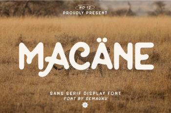 sans serif display font