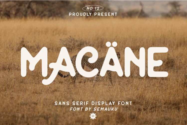 sans serif display font