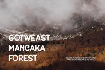 sans serif display font