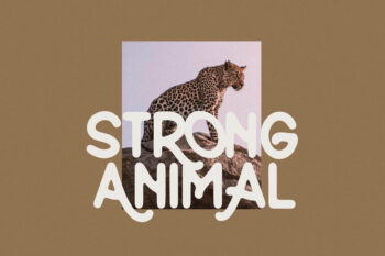 sans serif display font