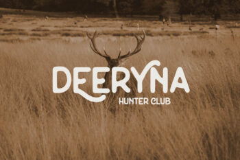 sans serif display font